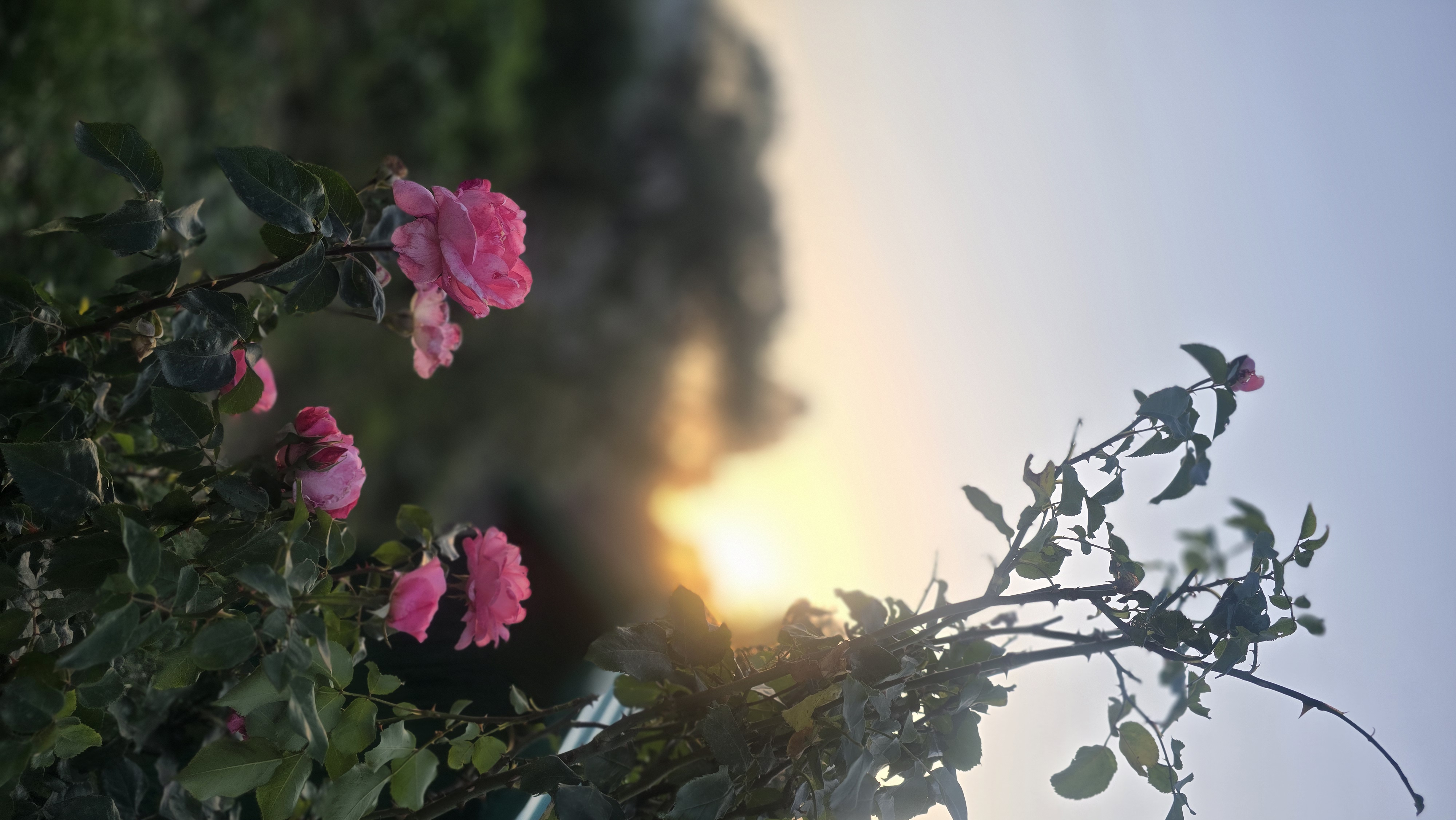 Mountain homestay - Valley View Retreat Homestay Matiyal Uttarakhand